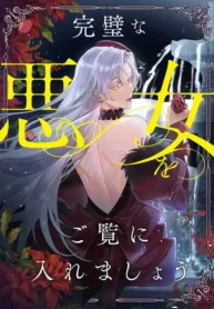 Behold The Perfect Villainess