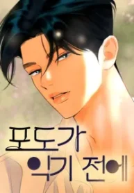 Before The grapes Ripen